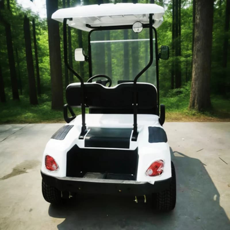 Carrello da Golf Elettrico Personalizzato con Pannello Solare, Certificato e Testato, per 6 Persone - Offerta Speciale