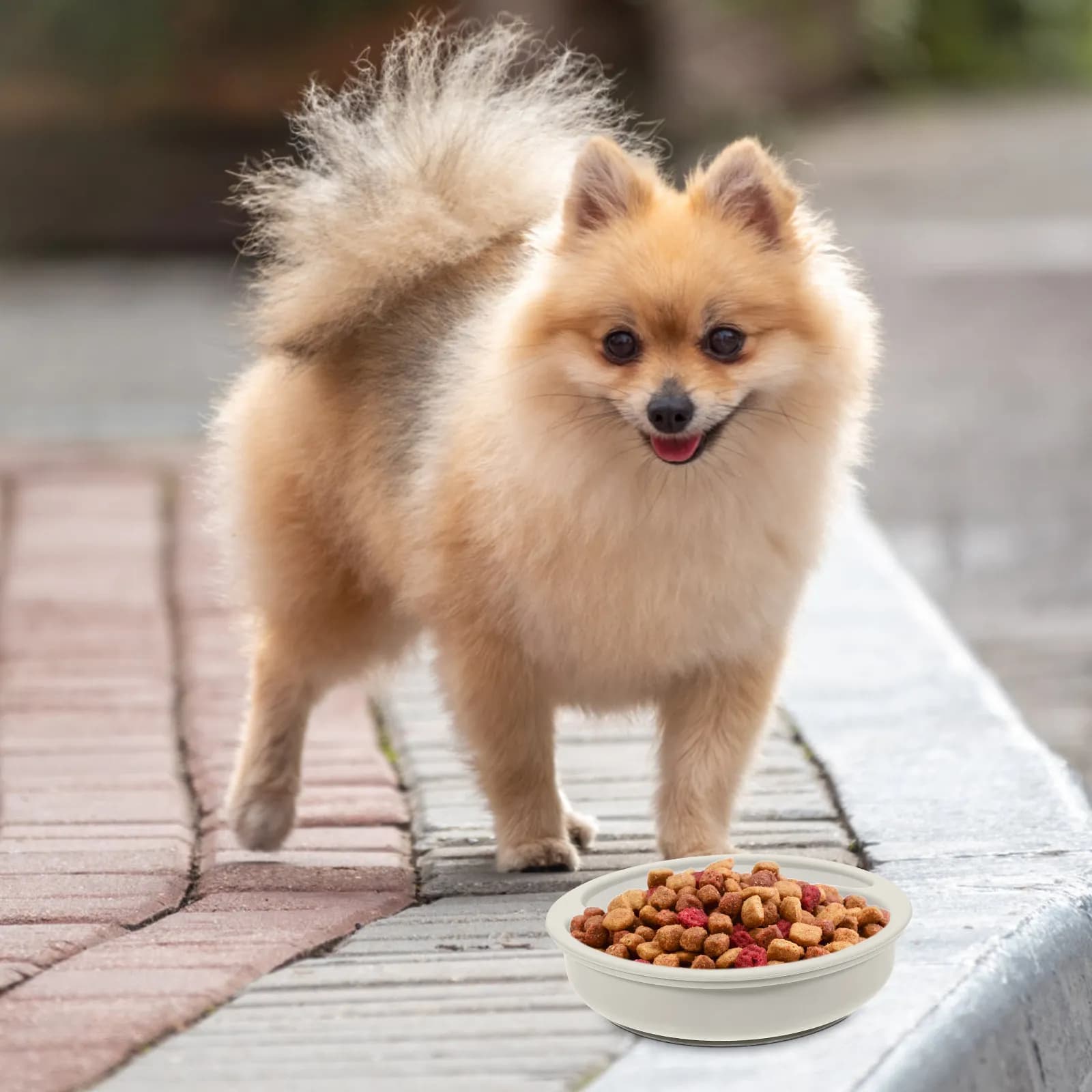 Silicone Pet Bowl Dog Cat Food Water Bowl Slow Feeder Design Round Edge Easy Clean Large Capacity for Wet Dry Food Indoor Safe