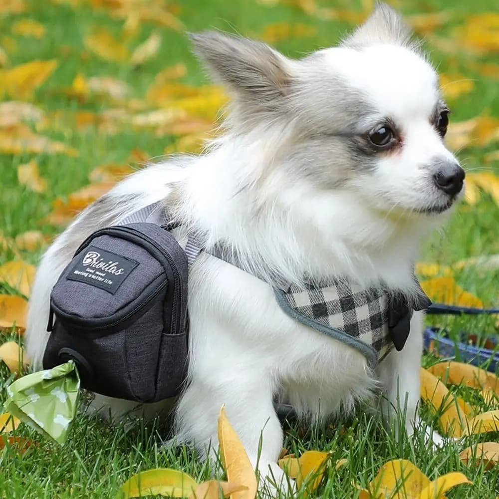 Borsa Portatile Multifunzione per Addestramento Cani, Porta Snack e Dispenser per Sacchetti Igienici, Resistente e Pratica