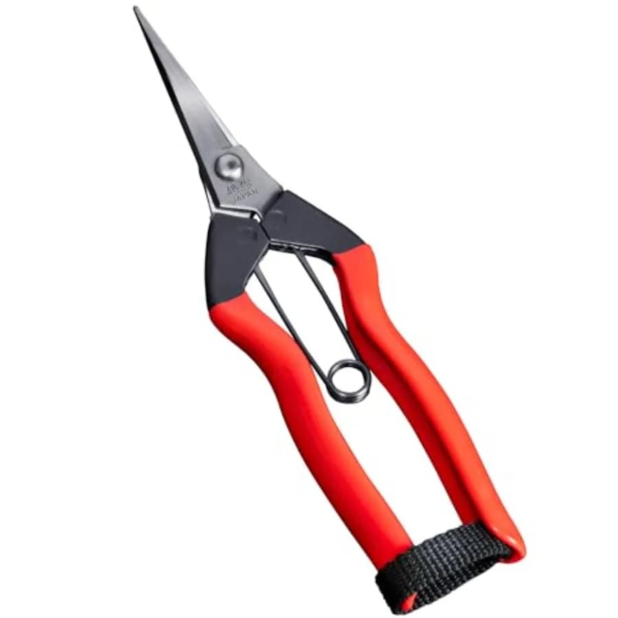 Forbici da Giardino Giapponesi 7.2" per Piante - Cesoie di Precisione con Punte Affilate - Lama Affilata in Acciaio Inossidabile Giapponese
