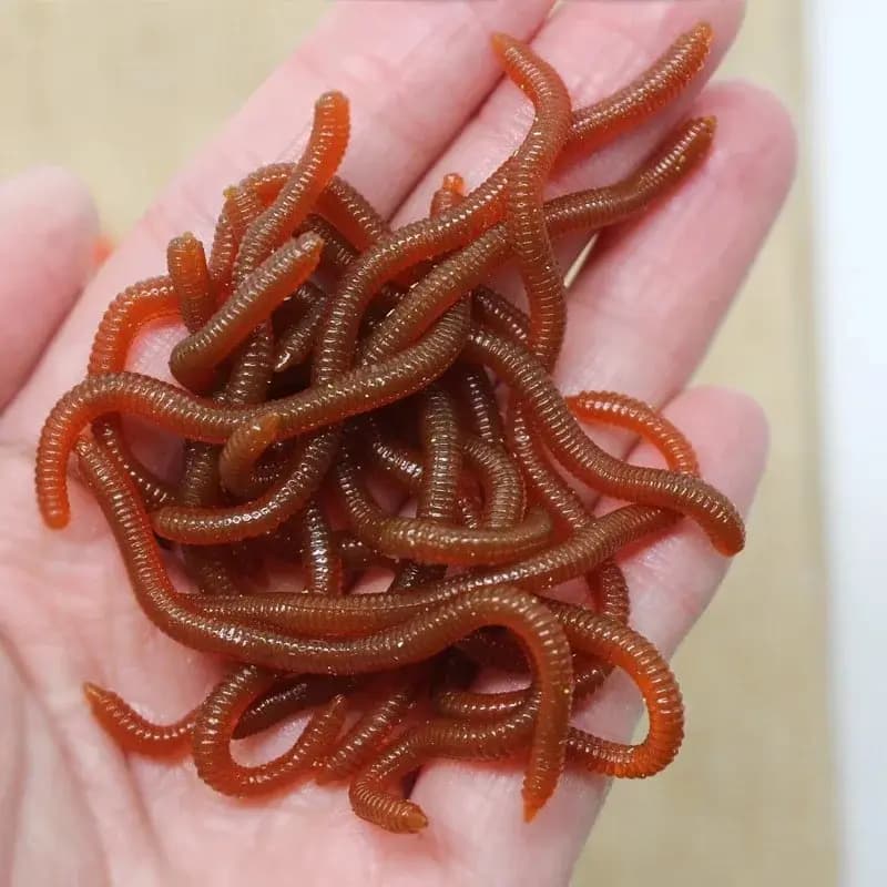 Realistic BURLE Fish Odor Soft Red Esche Simulation Lombrico Vermi Rossi Artificial Fishing baits