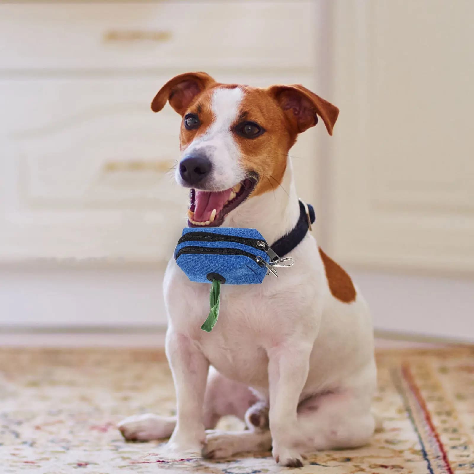 Dog Poop Bag Holder for Leash Portable Oxford Fabric Waste Bag Dispenser Carabiner Hook Zippered Travel Organizer Dog Walking