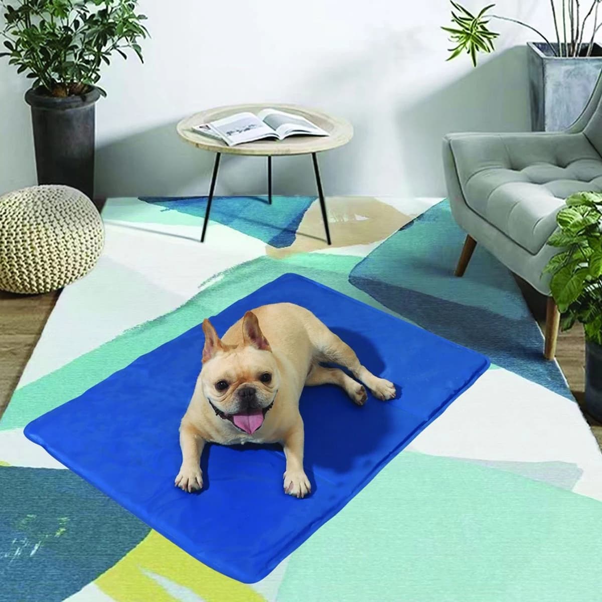 letto freddo per cani Cuscinetto rinfrescante riempito di gel per animali domestici - Letto per cani in PVC impermeabile con bordi compositi a caldo, previene il riscaldamento