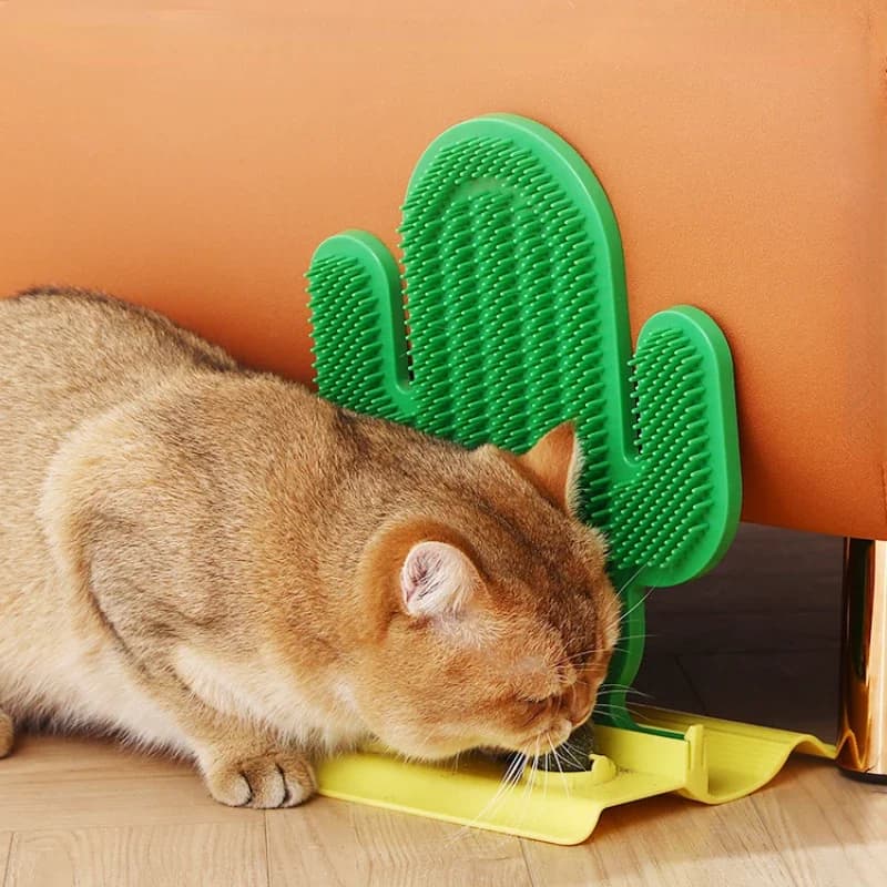 Tiragraffi per animali domestici Tiragraffi per gattini Setole Massaggiatore Auto Tolettatura per gatti Pettine Raschietto Accessori per gatti