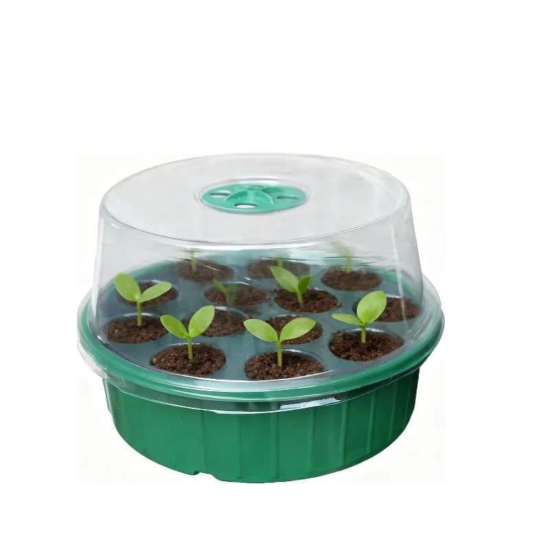 Set of 2 Containers for Growing Plants, Trays for Semina, Incubator for Seeds and Succulent, Hydroponic Vase