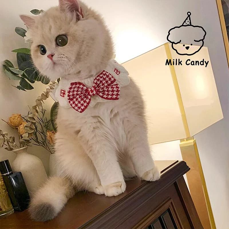 Accessori per gattini nuovi in raso Papillon regalo Collare per cani con perle Gioielli in seta Matrimonio Gatto Cucciolo Nastro Sciarpa Ciondolo Collana con fiocchi per animali domestici