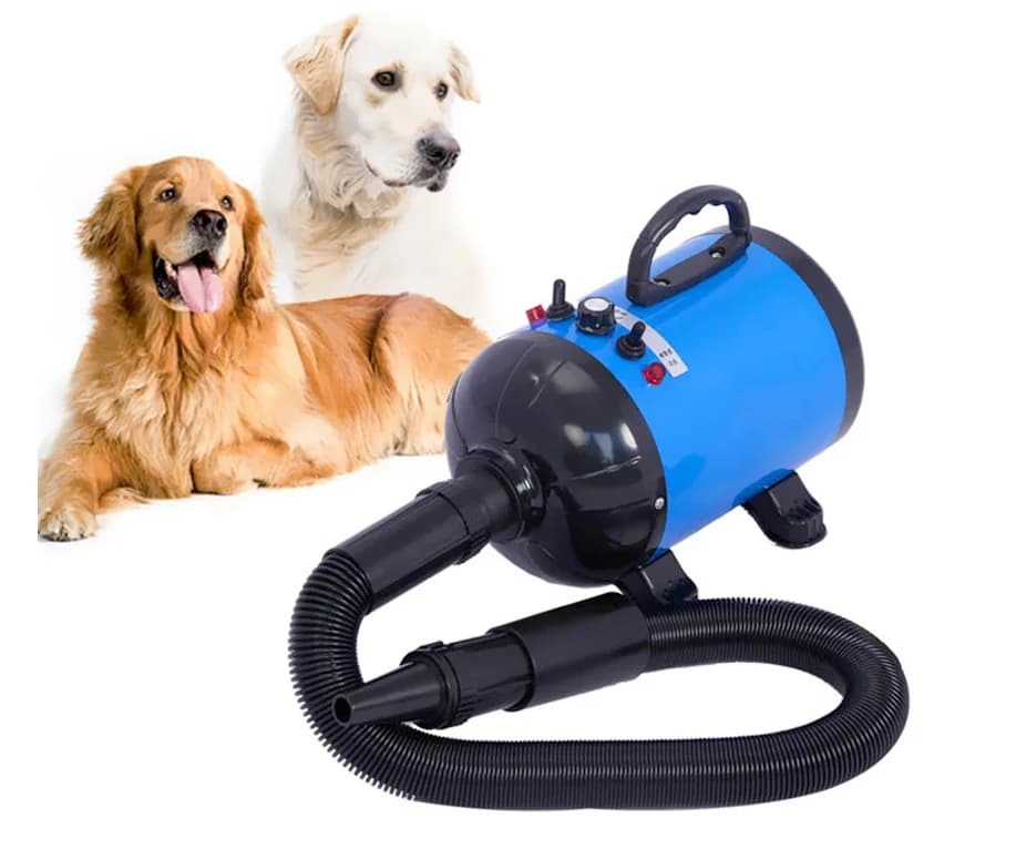 Brand New Silent Portable Hair Dryer for Dogs and Domestic Animals with Negative Ion Function - Special Offer