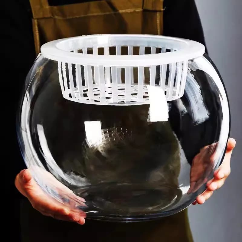 Transparent Glass Flower Vase Planting Basket Hydroponic Green Ivy White Palm Special Water Cultivation Container round Ball ...