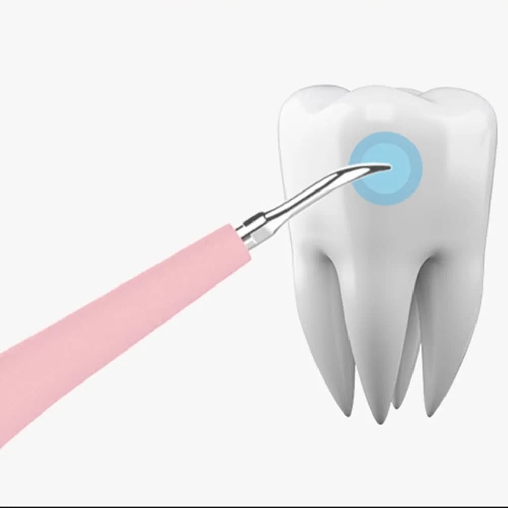 Portable Electric Sonic Dental Scaler Dente Tartaro Removal Macchie Dei Denti Tartaro Dentist Tool Whitening Toothbrush