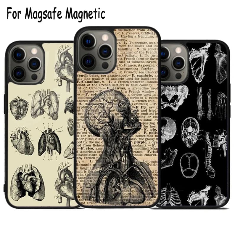 Custodia per telefono con ricarica wireless a tema anatomia vintage per iPhone 17 Air 15 16 16e 14 13 11 12 Pro Max Plus, cover magnetica Magsafe con paraurti