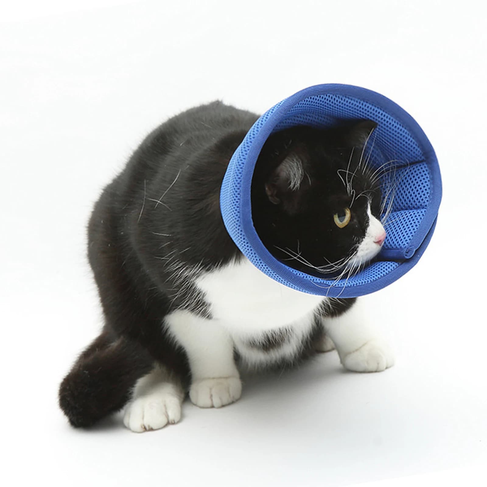 Collare a Cono per Cani con Bordo Morbido, Collare Protettivo per Gattini Contro il Leccare, Collare di Recupero per Animali Domestici per Cani Piccoli, Medi e Grandi Dopo Chirurgia