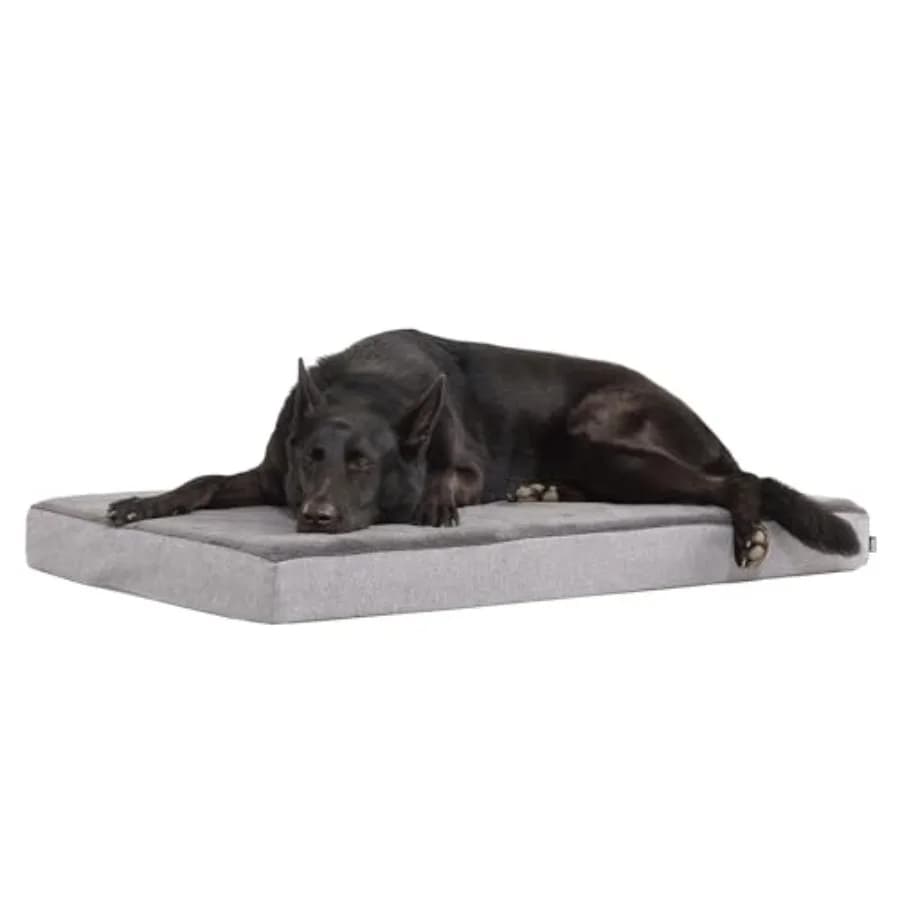 Cuccia Ortopedica per Cani con Memory Foam, Comfort Premium per Cani e Cuccioli, Cuccia per Cani per Sollievo Articolare e Sonno Riposante, Durevole e Resistente
