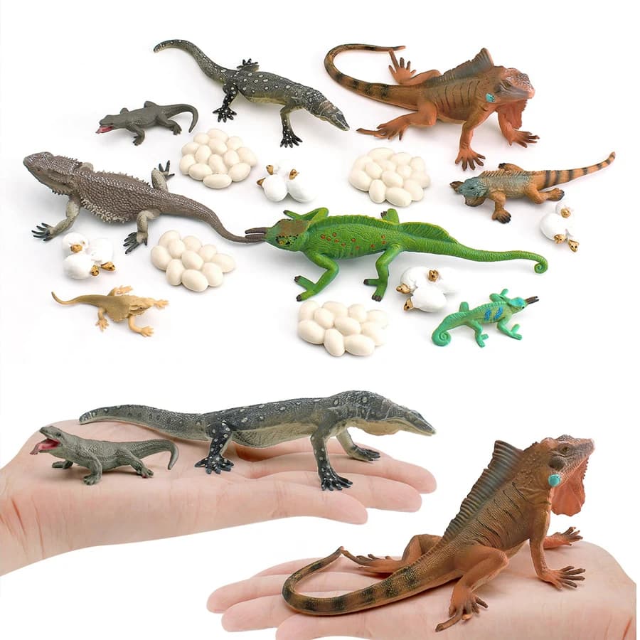 Simulation Chameleon Bearded Dragon Monitor Lizard Iguana Life Growth Cycle Reptile Animal Model Figures Educational Toys