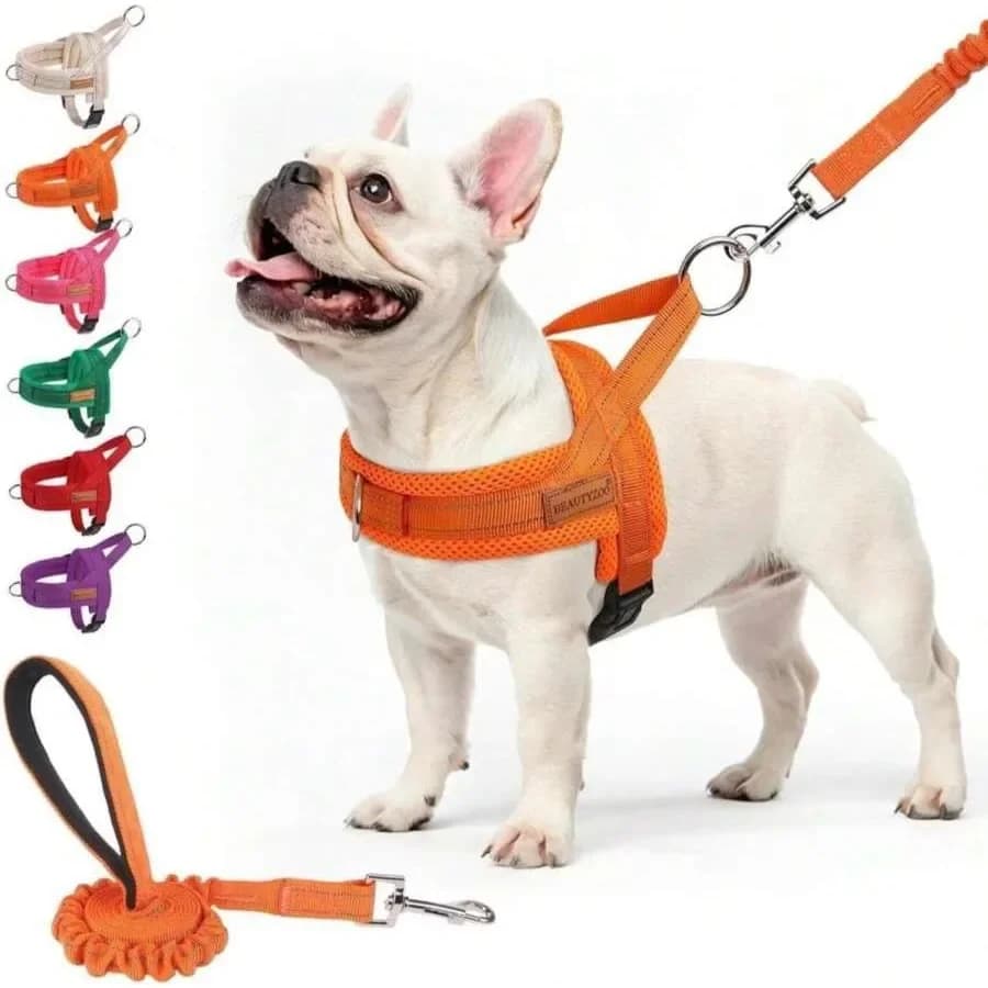 【New style】BEAUTYZOO Dog Harness No Pull, Quick Fit Dog Harness And Leash Set, Escape Proof Vest Harness With Soft Handle, Refl