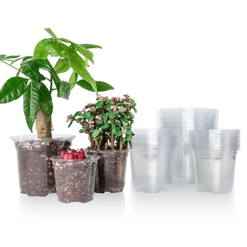 30 Packs of 3.5/4/5 Transparent Vases for Vivary, Plastic Containers with Draining Holes for Seed and Plants