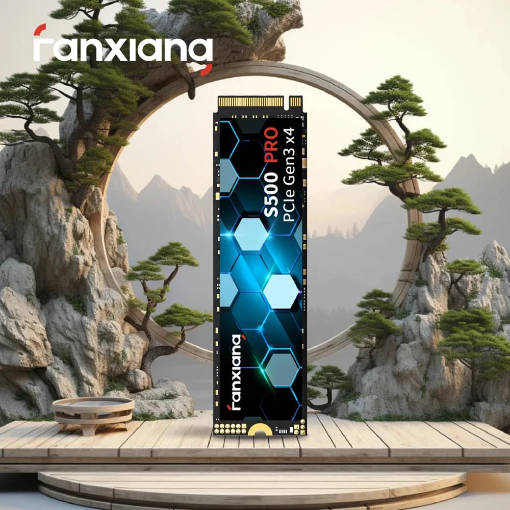 Fanxiang M.2 SSD Hard Disk 1TB 2TB 3500 MB/s NVMe M2 SSD 512GB PCIe 3.0 unità a stato solido interna EU US consegna locale S500 Pro