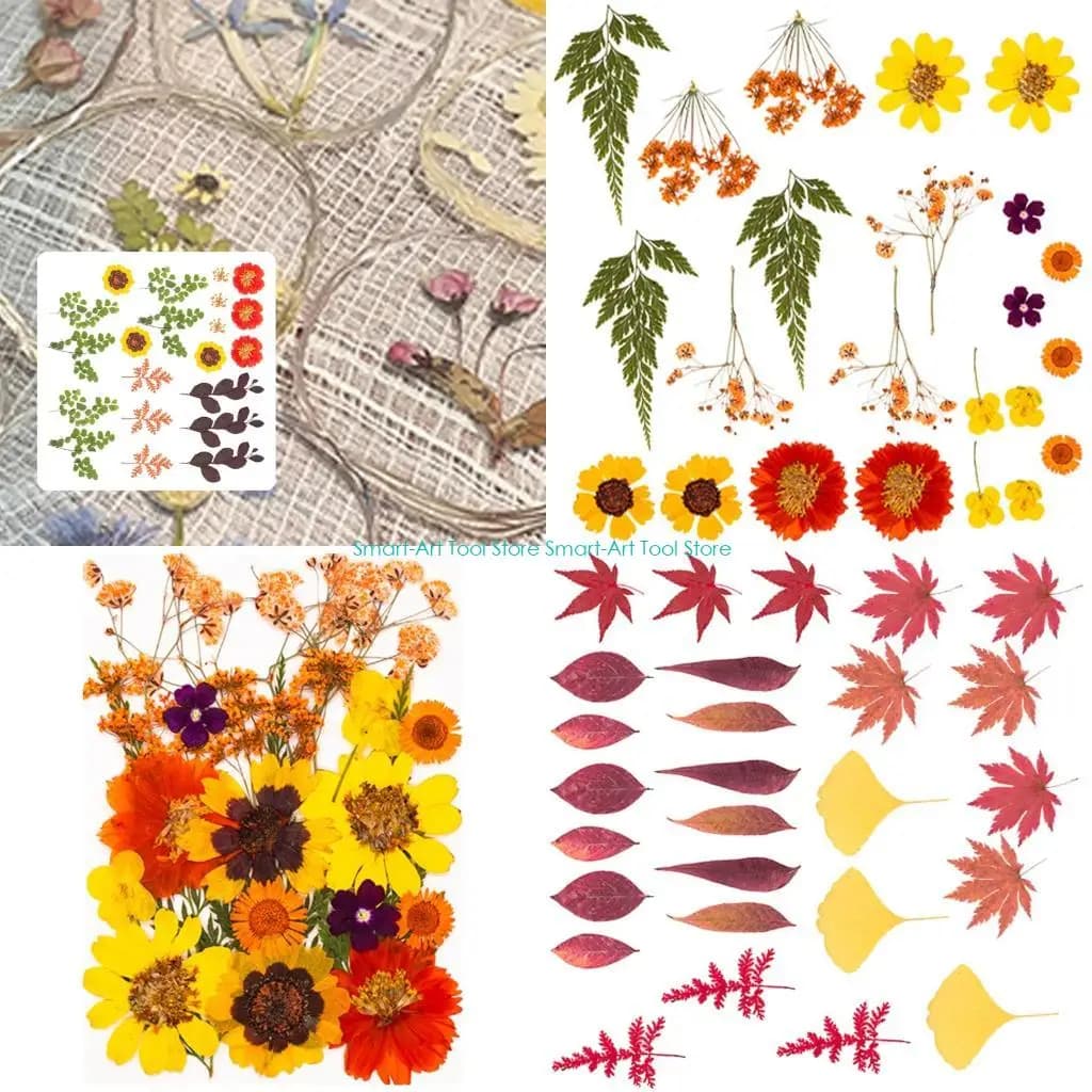 E1PB Fiori secchi naturali per stampi in resina, candele, gioielli, progetti artistici