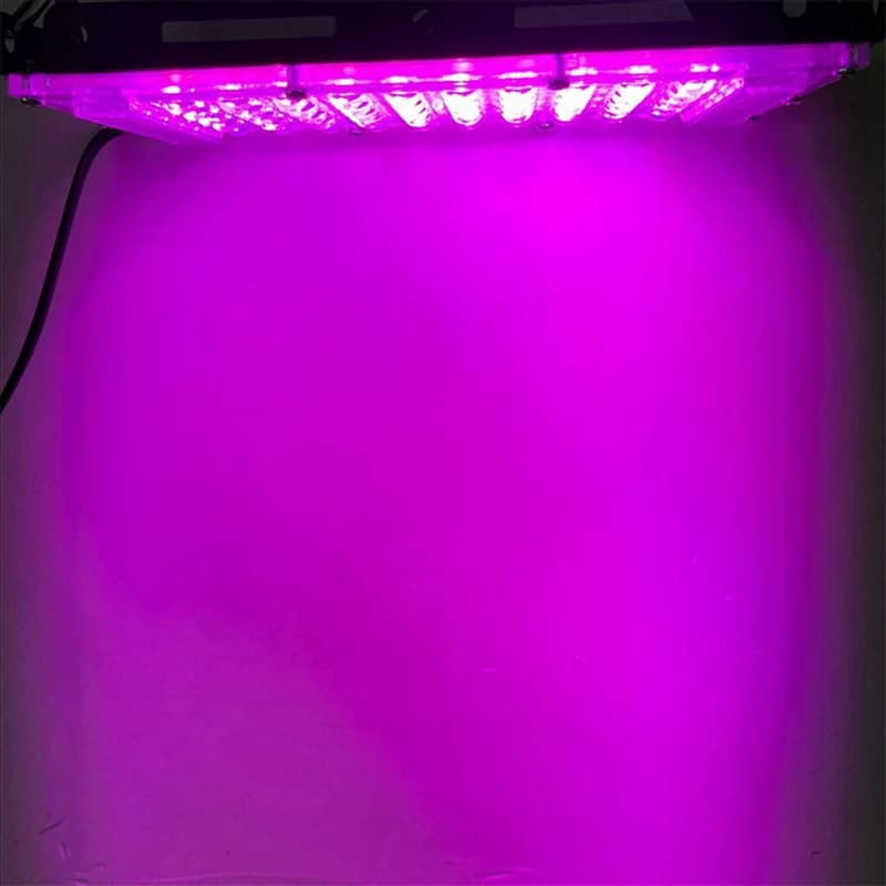 ABAH-2X Complete LED Specter Cultivating Phytolamp Light For Plants Tent Flower Semina 100W Gamma Lamp External Projector EU Plug