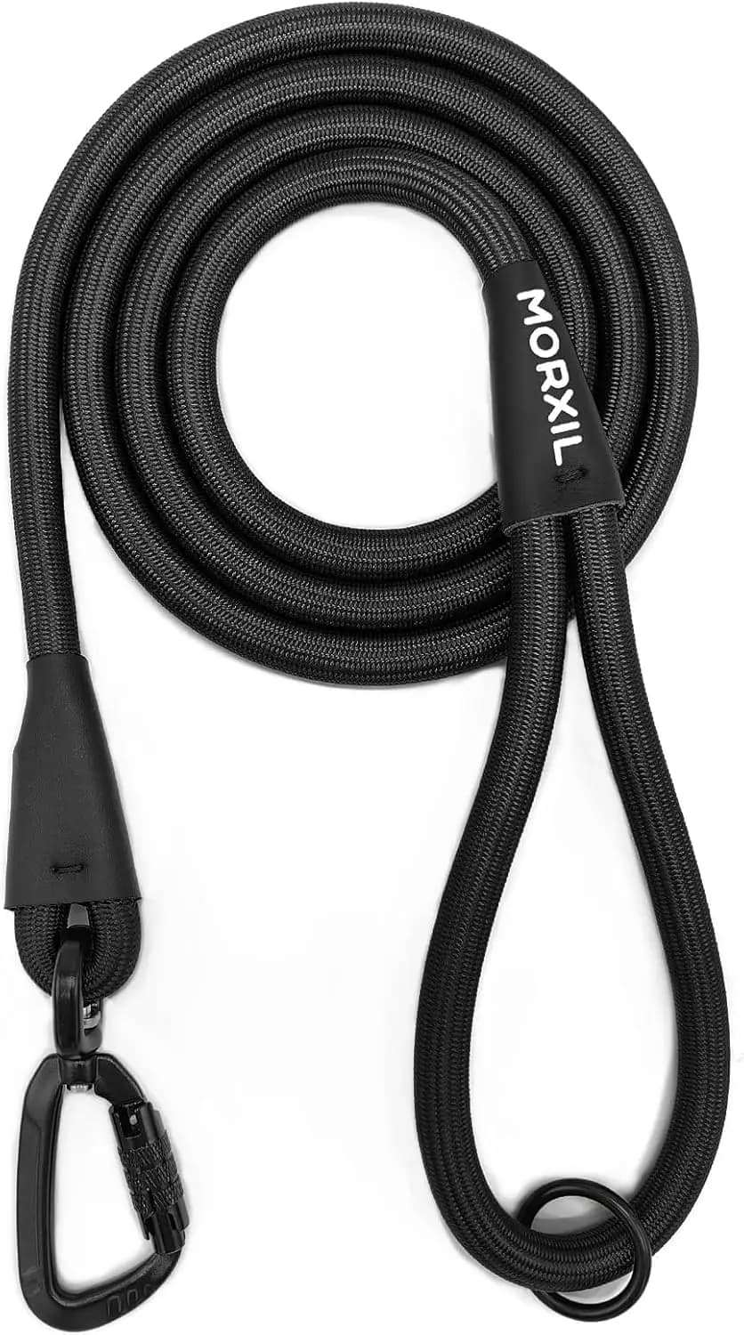Guinzaglio per Cani Resistente da 6 Piedi con Moschettone Autobloccante, Robusto Guinzaglio in Nylon per Tutti i Cani (Nero)