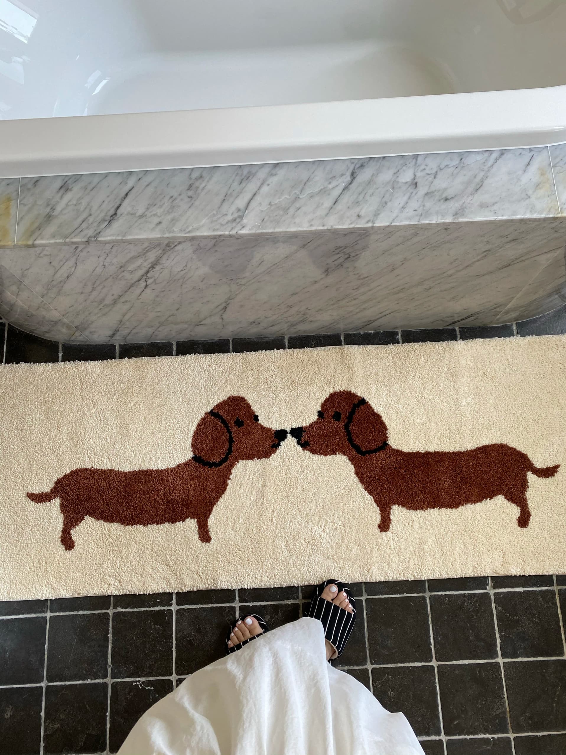 VIKAMA Simpatico tappetino da bagno per cani bassotto per animali domestici Base bianca con due cani che guardano l'altro modello - Decorazione domestica lavabile