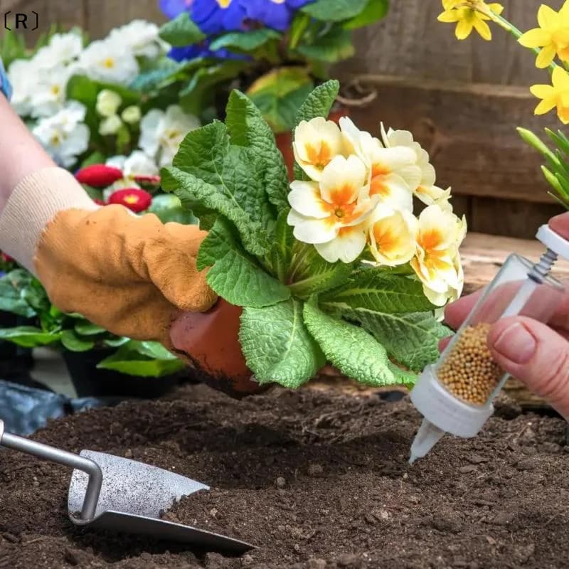 WAYR DESCRIPTIONDispenser di Semi Portatile, Mini Seminatrice Manual per Giardinaggio, Accessorio Essenziale per Vasi e Aiuole