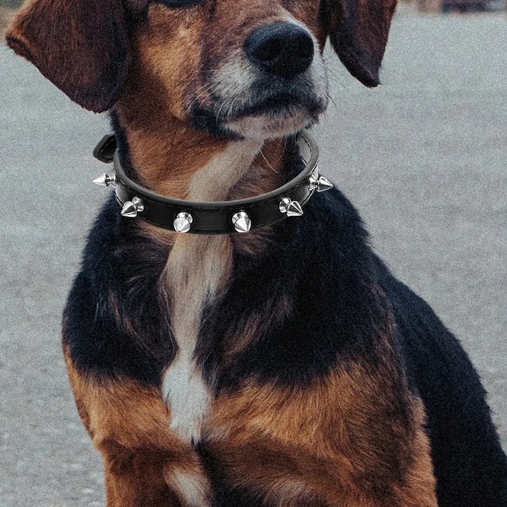 Collare per Animali Domestici con Borchie, Regolabile, Comodo, Resistente ed Elegante, Decorazione per il Collo di Cani e Gatti