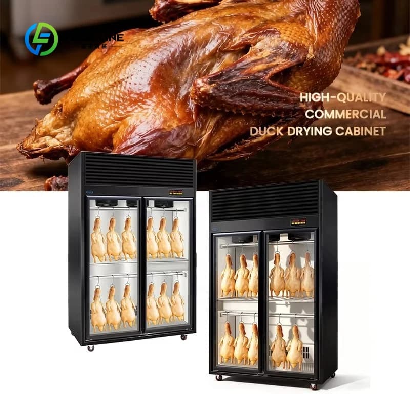 Vetrina per l'essiccazione del pollo dell'oca dell'armadietto per l'essiccazione dell'aria di scongelamento personalizzata dell'anatra