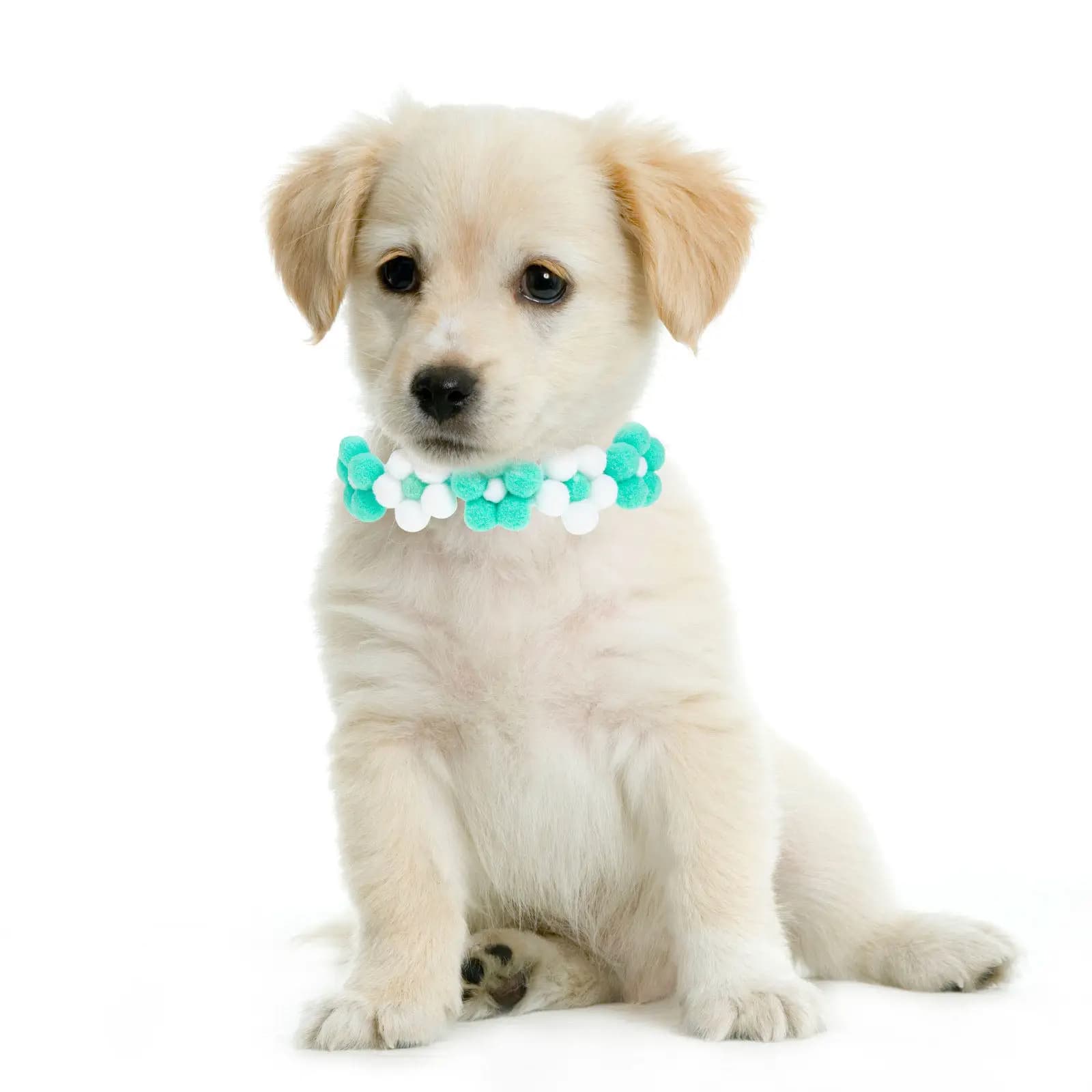 Delicato Collare per Animali Domestici con Design Floreale Lavorato a Mano, Cravatta Decorativa Comoda e Regolabile, Accessorio per Cani e Gatti per Feste e Festival
