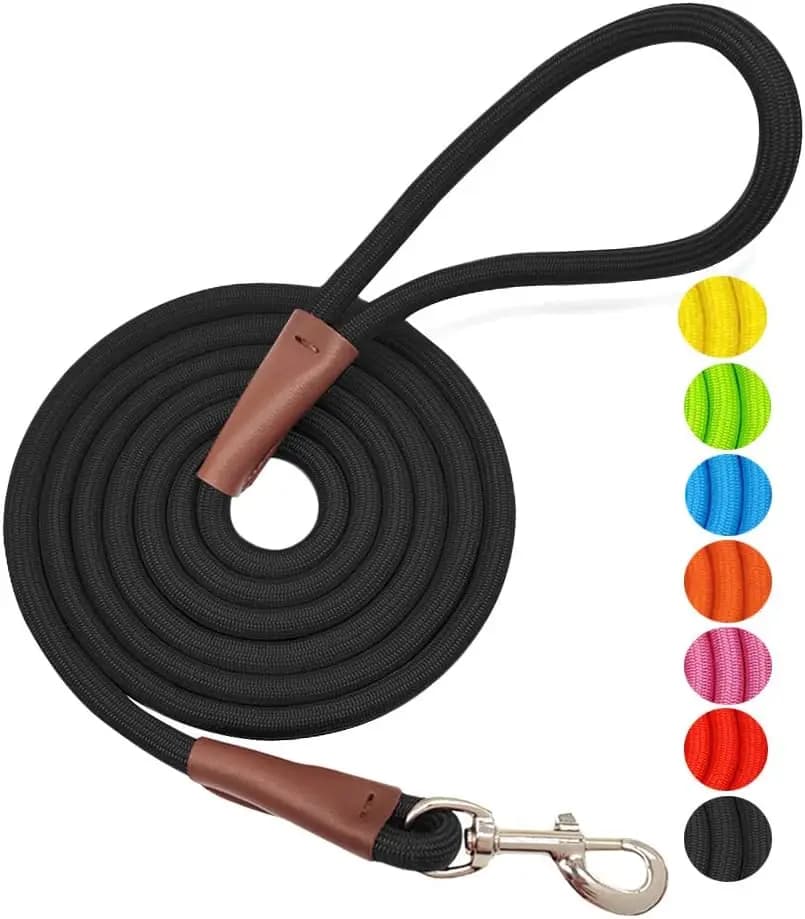 Guinzaglio per Cani in Nylon Resistente 4/6/8/10 FT con Connessione Rinforzata in Pelle e Chiusura in Argento, Colori Classici Solidi