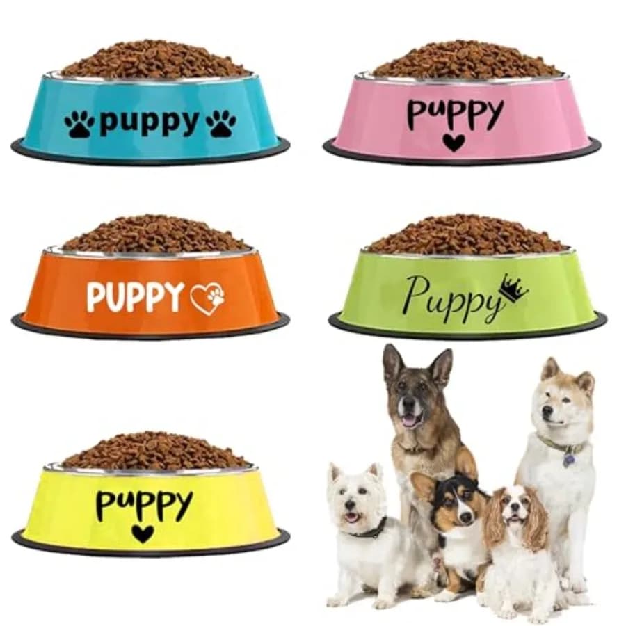 Ized Cane Gatto B con me Acciaio persolizzato Cucciolo Bs in acciaio per entrambi i gatti Cane antiscivolo Alimenti per animali Acqua B izable Carino Rosa Bianco Blu
