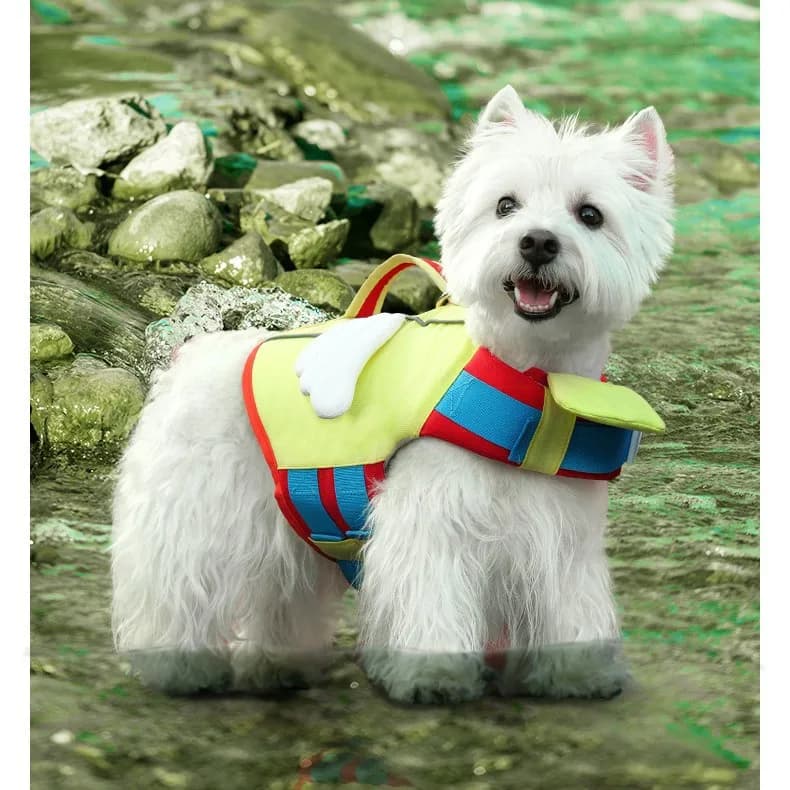 Giubbotto salvagente per cani, piscina estiva, spiaggia, giacca di sicurezza per esterni con guinzaglio per cani di piccola taglia, media e grande, vestiti per cani, prodotti per animali domestici