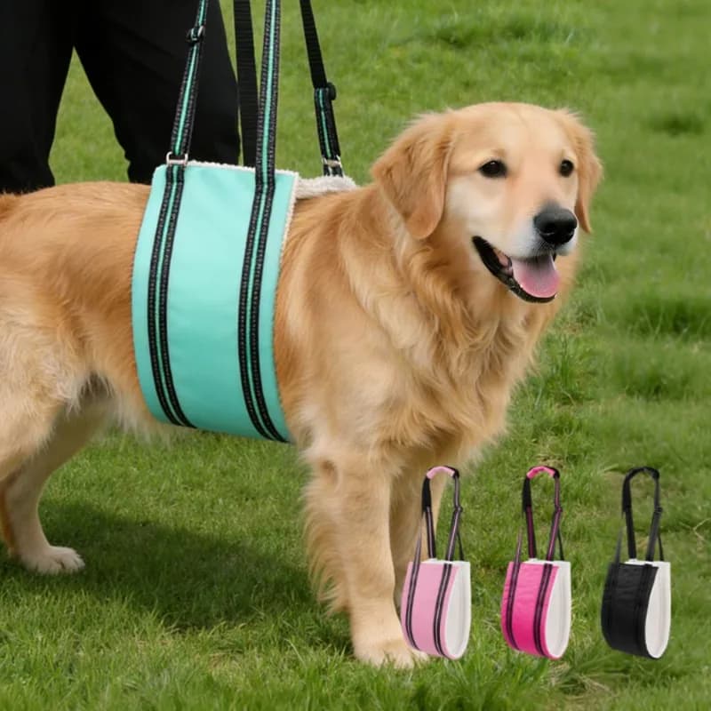 Imbracatura di Supporto Regolabile per Cani, Gilet Riflettente per Riabilitazione con Guinzaglio, Ausilio per Cani Infortunati nella Riabilitazione e nei Passeggiate