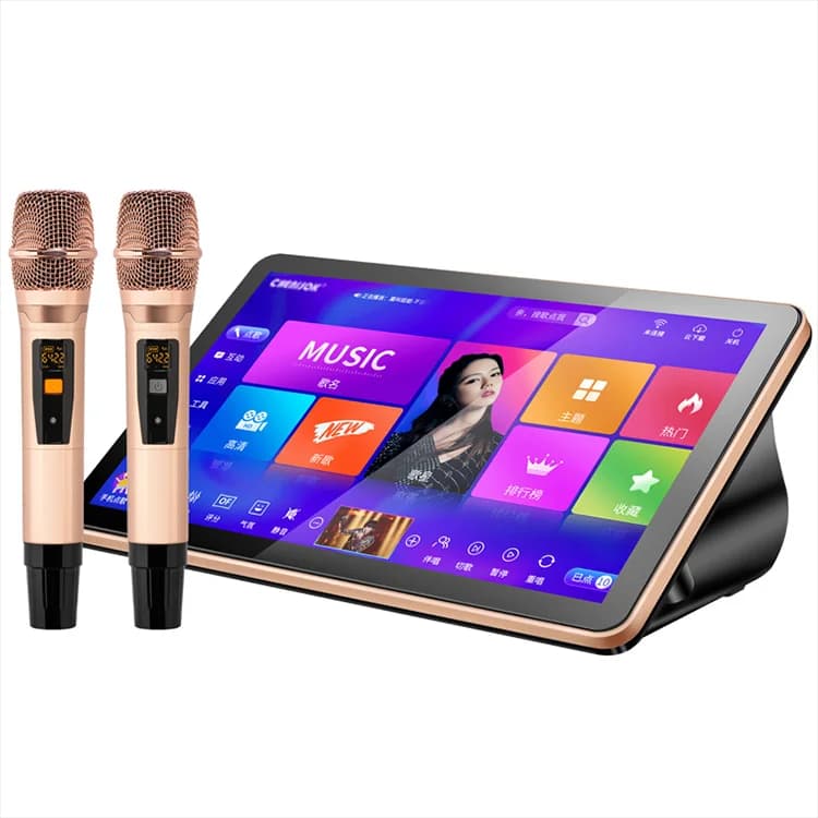 Portable Professional Karaoke Machine songs Orga Family Songs 22" Touch Screen 2 Wireless Microphones