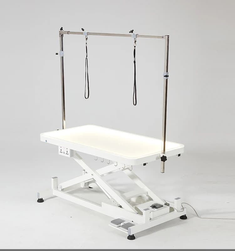 Tavolo Elettrico LED per Toelettatura Animali