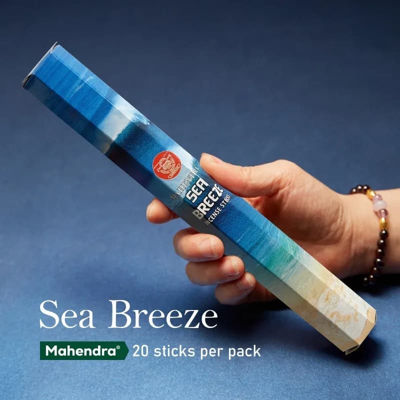 Y 20 bastoncini di incenso indiano salvia bianca meditazione lavanda yoga brezza marina amore incenso purificante deodorizzazione dell'aria aromaterapia