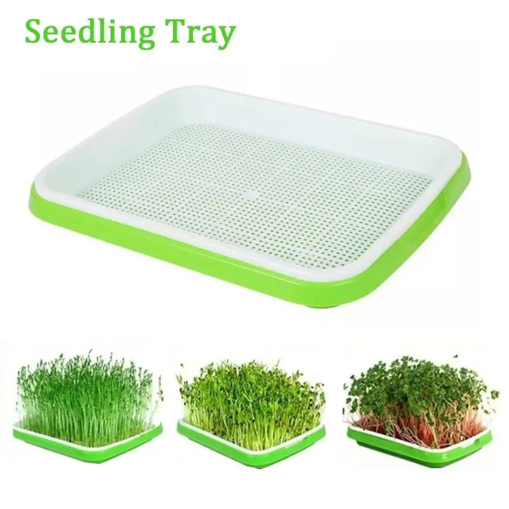 Hydroponic tray for indoor and outdoors Paper sprout tray for nursery jars Plant container for seedlings