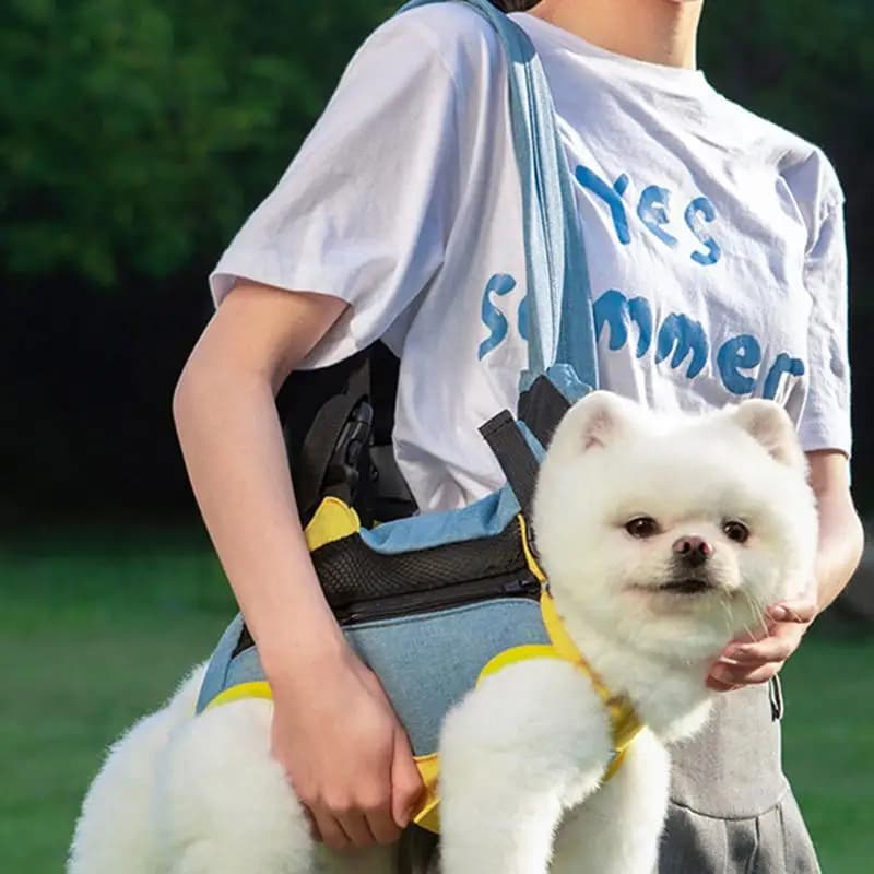 Gatti cani Zaino per animali domestici Borsa da trasporto regolabile con gambe fuori Accessori per piccoli cuccioli Forniture portatili per animali domestici per viaggiare