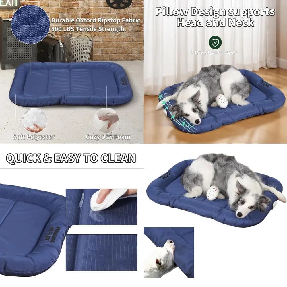Letto per cani da esterno impermeabile X-Large con cuscino, adatto per gatti e animali domestici da interno (blu, 42x29 pollici)