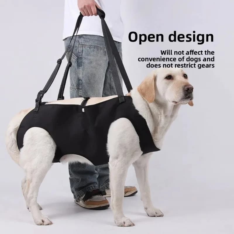 Supporto per il corpo del cane regolabile Imbracatura per sollevamento del cane per cani anziani feriti Assist Riabilitazione Imbracatura di sollevamento Guinzagli Animali domestici disabili
