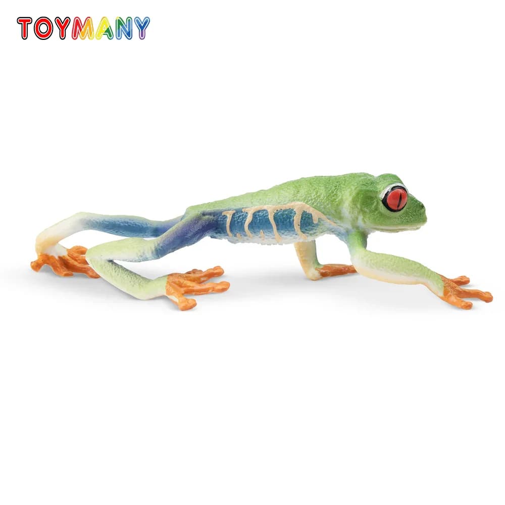 Toymany Simulazione Albero dagli occhi rossi Rana Regno di rettili Modello animale Giocattolo Mini Figure Bambole Action Figurine Giocattoli Regalo per bambini