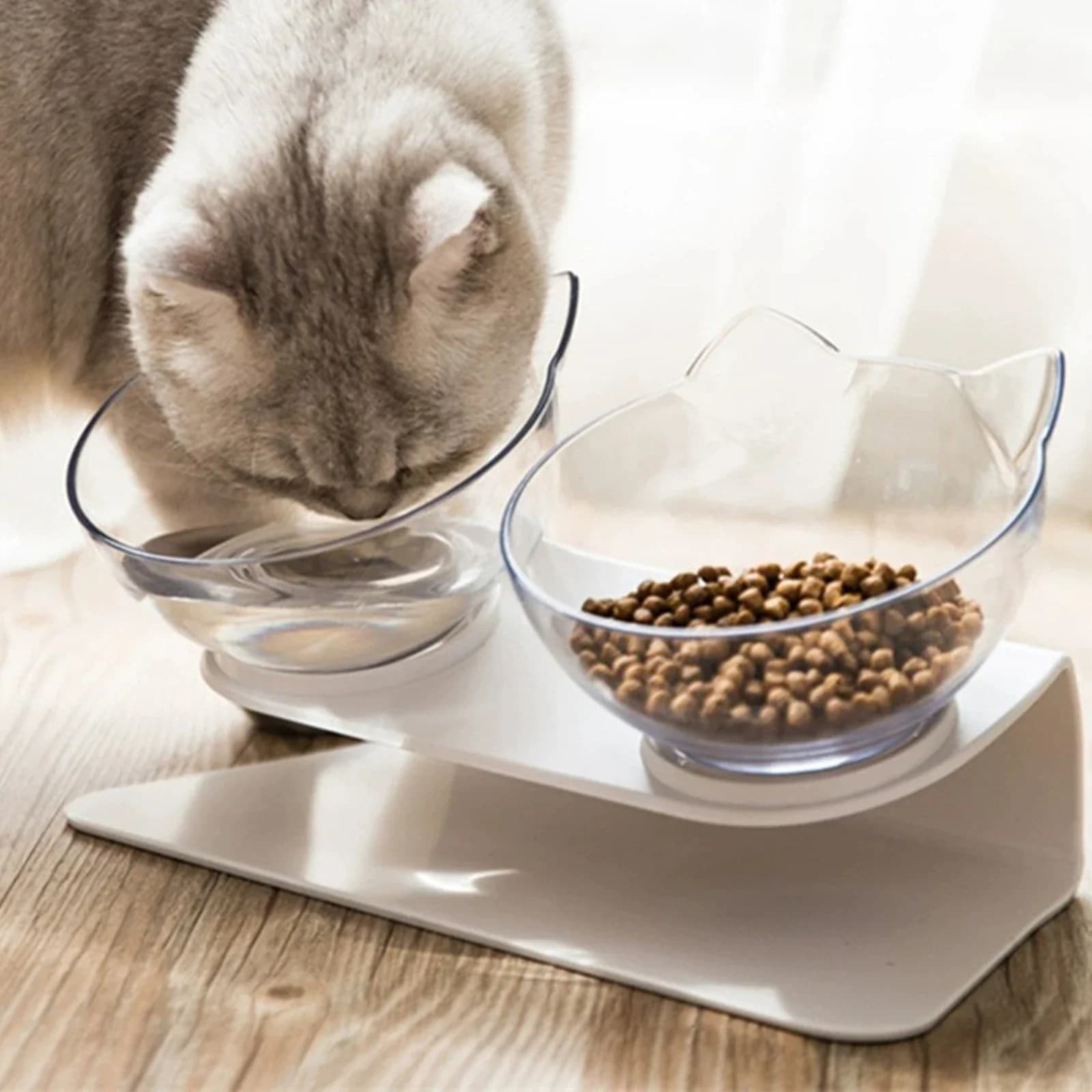 1 ciotola per gatti doppia antiscivolo, ciotola per cani con supporto, alimentazione per animali domestici, ciotola per acqua per gatti, cibo per gatti, ciotola per animali domestici, mangiatoia per cani