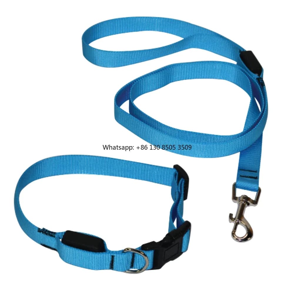 10pcs Classic Solid Led Nylon Dog Collar and Leash Set