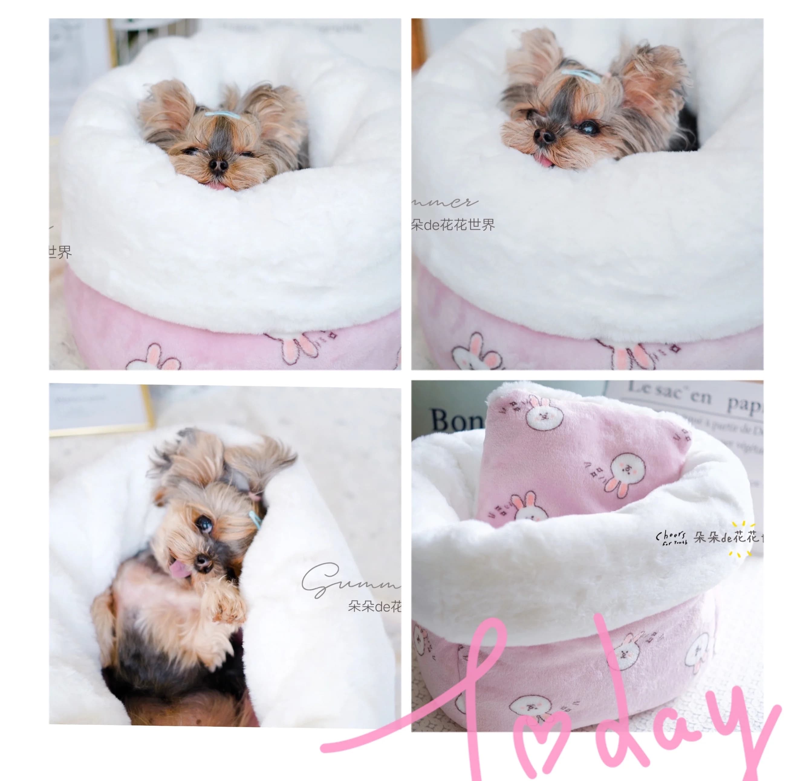 Pet cat dog kennel Teddy York rabbit velvet thermal sleeping bag Super soft nest multipurpose pillow sofa bed for cats house