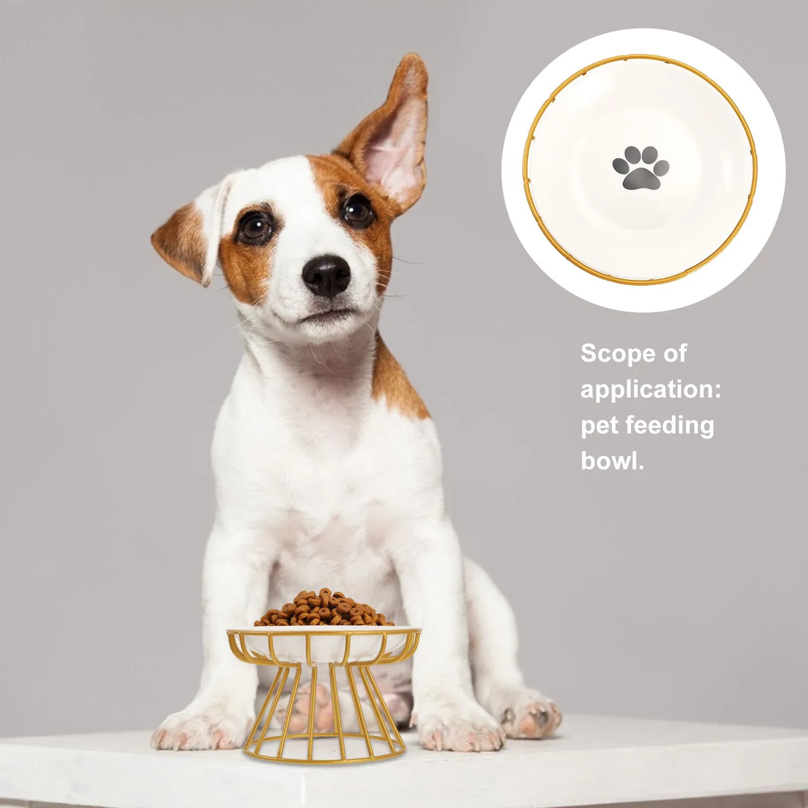 1Set Ceramic Elevated Cat Feeder Bowl Iron Stand Raised Pet Dish for Kittens Puppies Ergonomic Design Multi Functional Food