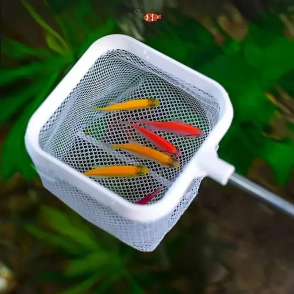 1PC Acquario Rete da pesca quadrata Manico lungo allungabile Attrezzo da pesca per la cattura di pesci Gamberetti Serbatoio Accessori puliti