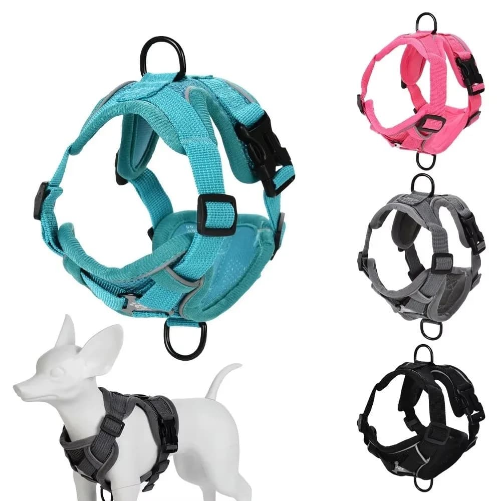 Set Pettorina e Guinzaglio Riflettente alla Moda per Gatti, Pettorina Regolabile Traspirante in Rete per Cani, Gilet per Animali Domestici, Accessori per Passeggiate all'Aperto