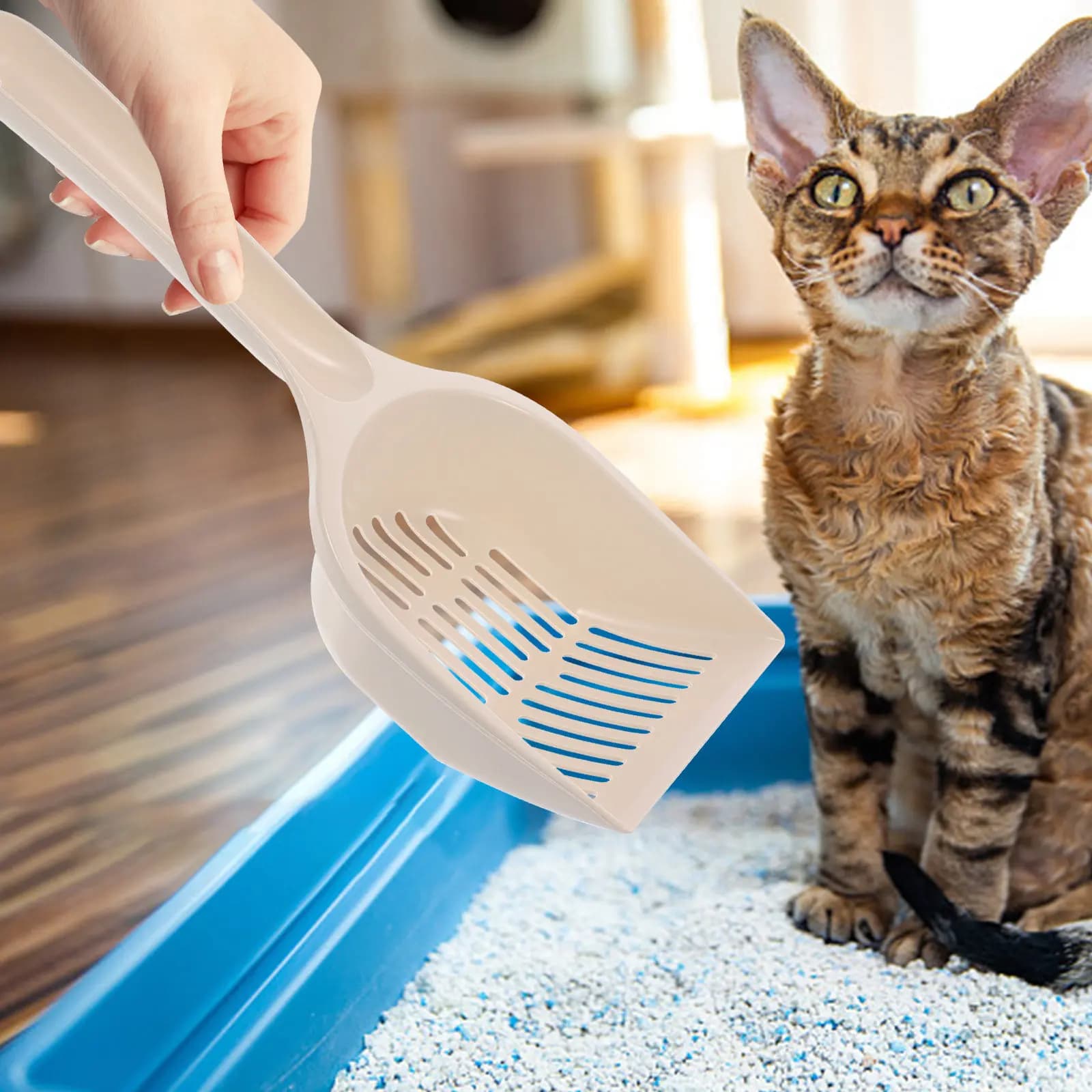 Set Paletta per Lettiera Gatti Blu in Plastica Resistente Facile da Pulire Accessori per la Pulizia della Lettiera dei Gattini