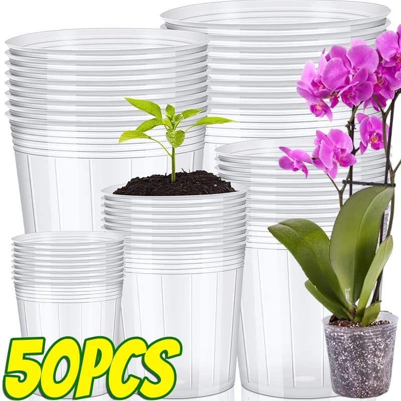 10/50pcs Transparent Vivary Vases of Plastic Morbida Flower Jar Garden Orchidea Vivaio Tazza Piantina Fioriera Contenitore Fiore Vasi di Departure