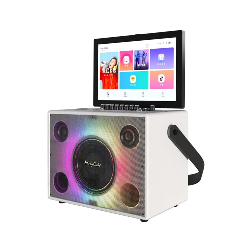 Altoparlante Karaoke con Schermo Touch e Luci Colorate, Amplificatore Multimediale Bluetooth a Prezzo All'Ingrosso