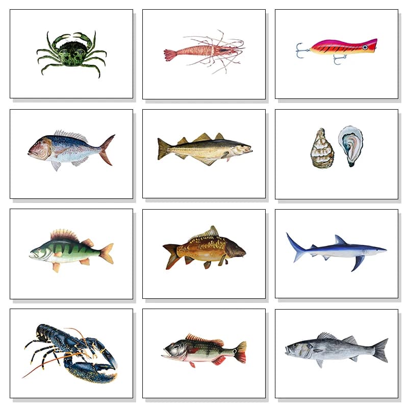 1pcs(No frame) Ocean Themed Retro Mediterranean Posters Seaside Fishing Skin Shark Octopus Prints Canvas Wall Pictures Seaside